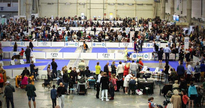 ОРГАНІЗАЦІЯ ВИСТАВОК